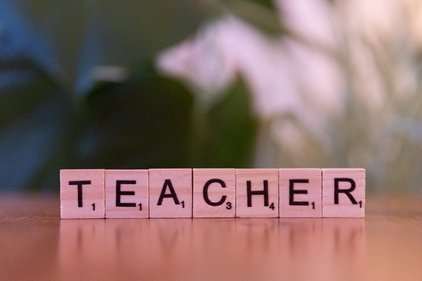 10 Ways the PTA Enriches School Communities